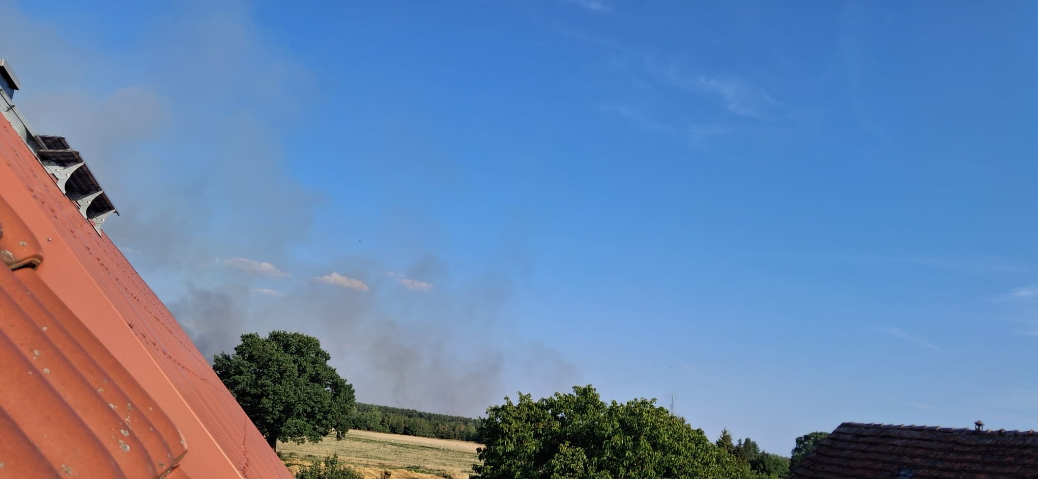 Waldbrand bei Jüterbog: Rund 300 Hektar betroffen - Rauchwarnung bleibt wichtig