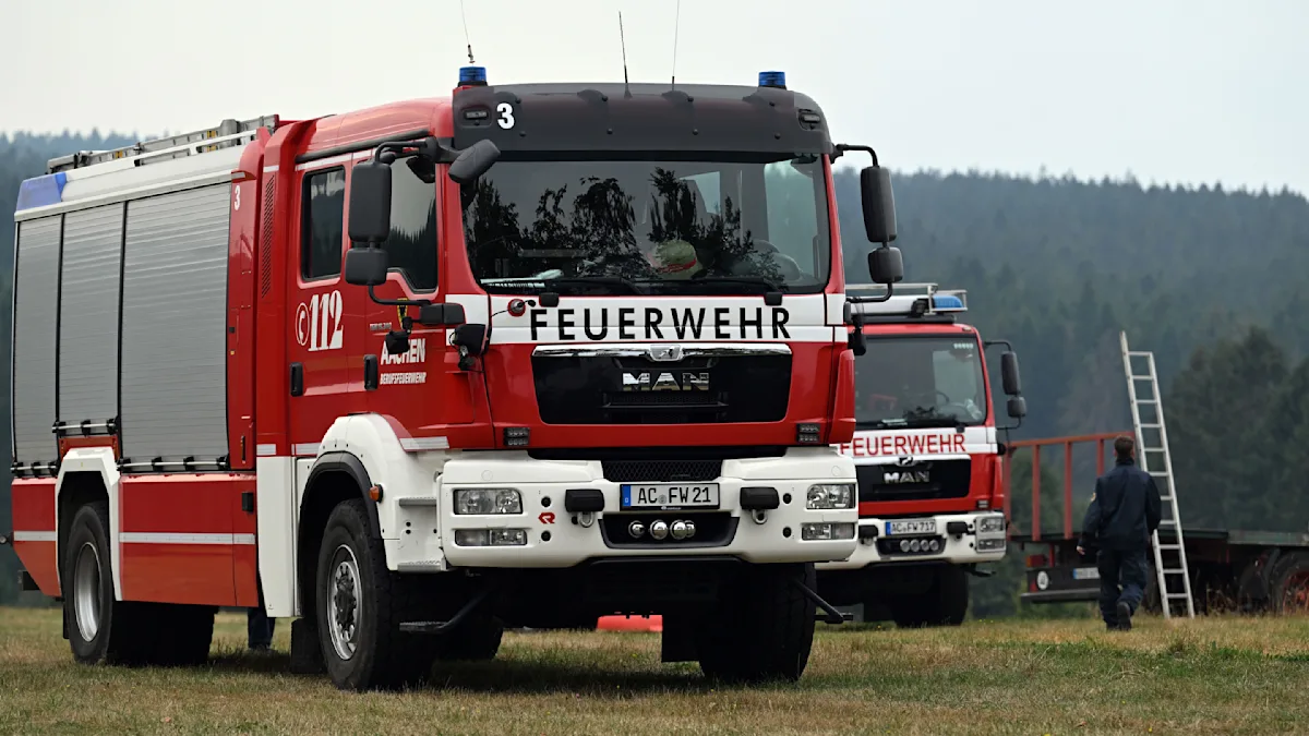 König von Belgien besucht Waldbrandgebiet an der deutsch-belgischen Grenze